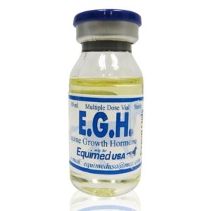 egh, Hormones, Muscle Boosters, Vitamins - Boosters, E.G.H 10ml, EGH 10ml, Equine Growth Hormone, buy equine growth hormone online,