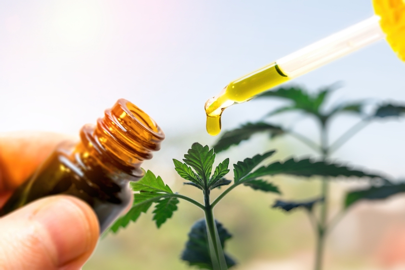 Can Rick Simpson Oil Treat Cancer?, RSO Oil , Can RSO Oil treat cancer?, Rick Simpson Oil (RSO) Benefits, Can Rick Simpson Oil help treat cancer?, RSo Oil for sale, RSO Oil SA, California RSO Oil, What Is Rick Simpson Oil and Why Use It?,